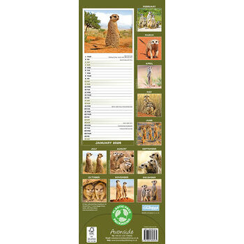 Calendrier Etroit Slim 2026 Suricate