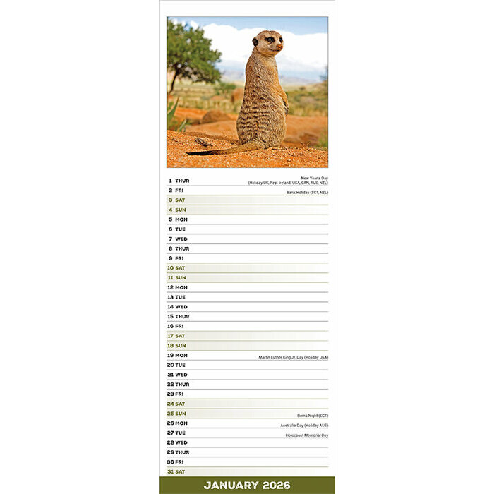Calendrier Slim Suricate 2026