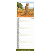 Calendrier Slim Suricate 2026