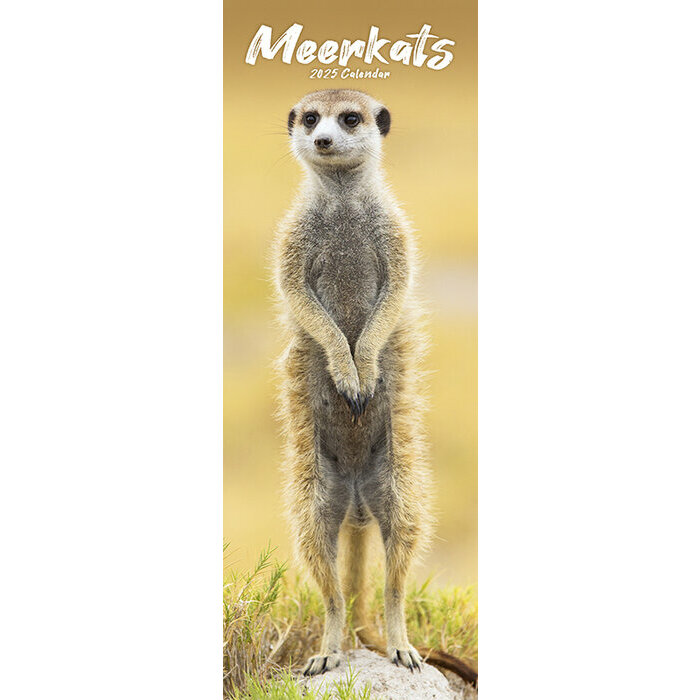 Calendrier Slim Suricate 2025