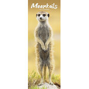 Calendrier Slim Suricate 2025