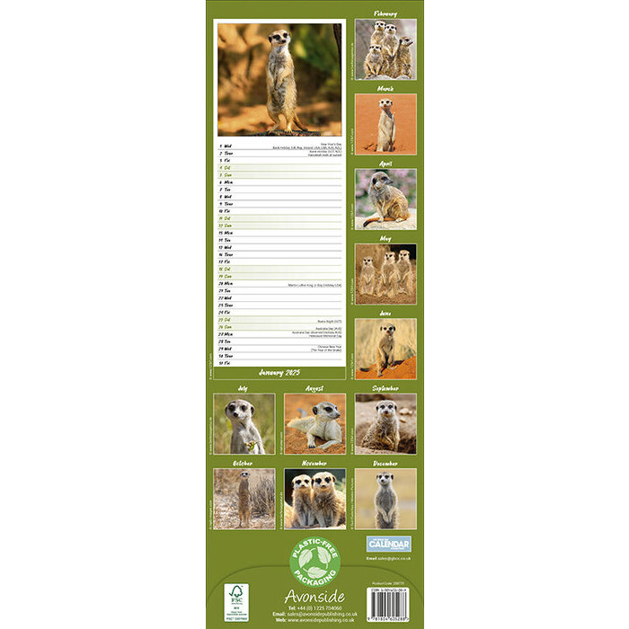 Calendrier Etroit Suricate 2025