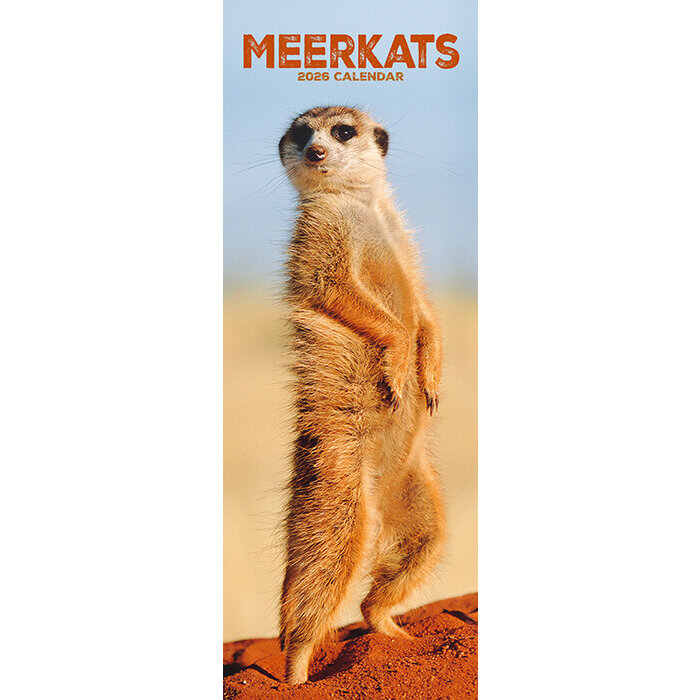 Calendrier Slim Suricate 2026