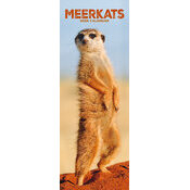 Calendrier Slim Suricate 2025