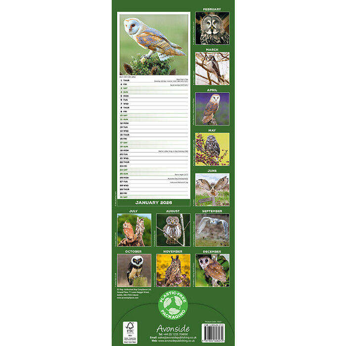 Calendrier papier 2026 Chouette 