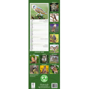 Calendrier papier 2026 Chouette 