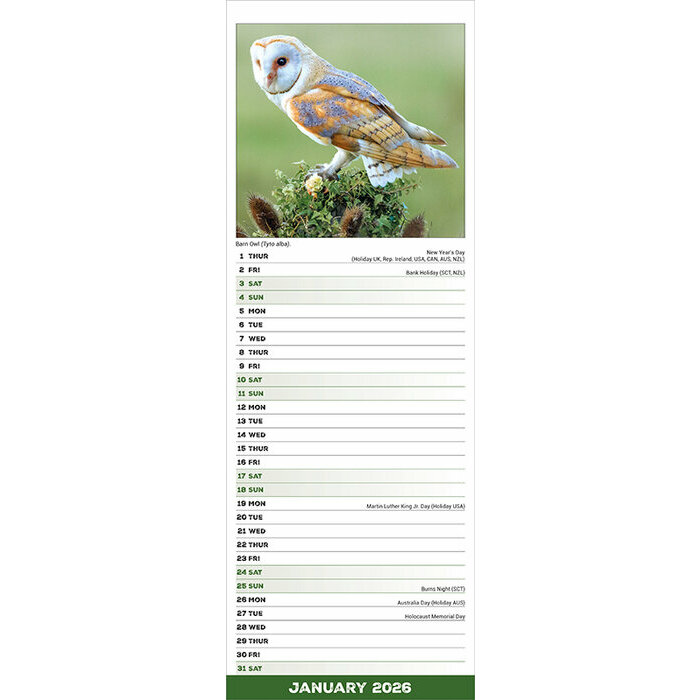 Calendrier 2026 Chouette 