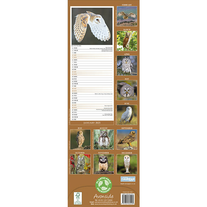 Calendrier Etroit 2025 Chouette
