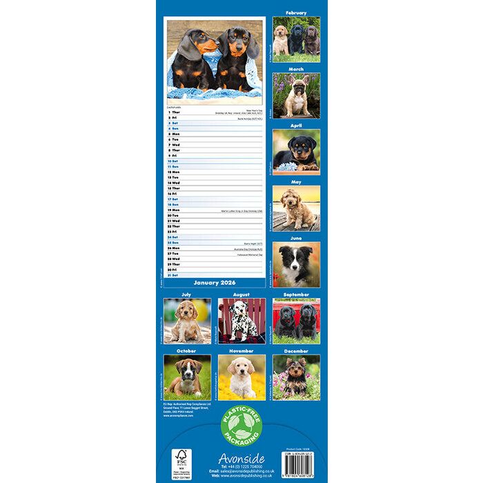 Calendrier papier Chiots 2026