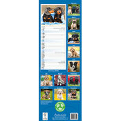 Calendrier papier Chiots 2026