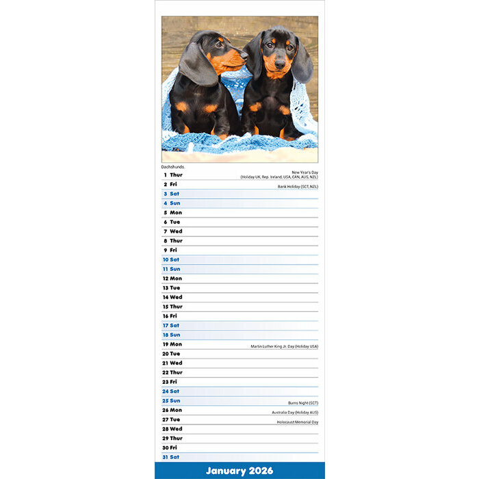 Calendrier Chiots 2026