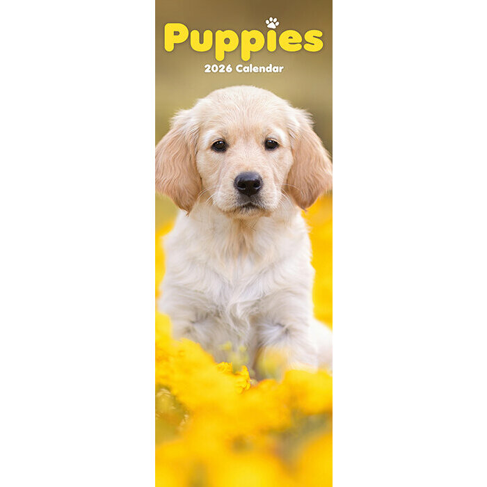 Calendrier Slim Chiots 2026