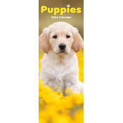 Calendrier Slim Chiots 2026