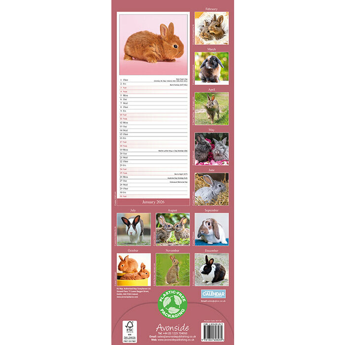 Calendrier mural Lapin Etroit 2026