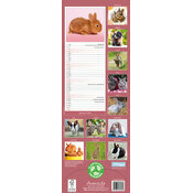 Calendrier mural Lapin Etroit 2026