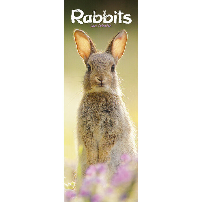 Calendrier Lapin Etroit 2025