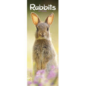 Calendrier Lapin Etroit 2025
