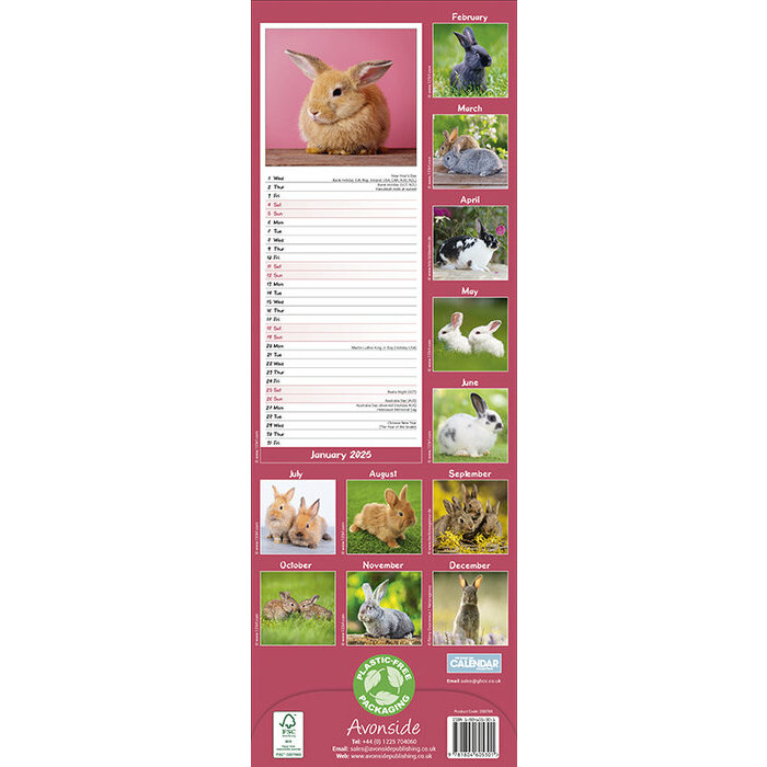 Calendrier Slim Lapin 2025