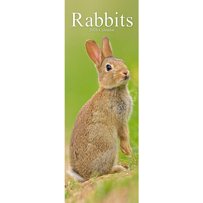 Calendrier Lapin Etroit 2026