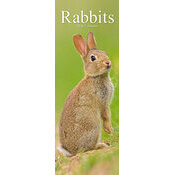 Calendrier Lapin Etroit 2026