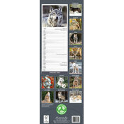 Calendrier mural Loup Etroit 2026
