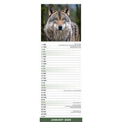 Calendrier Loup Mural 2025