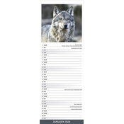 Calendrier Loup Mural 2025