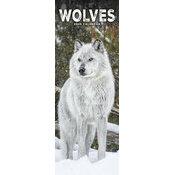 Calendrier Loup Etroit 2025