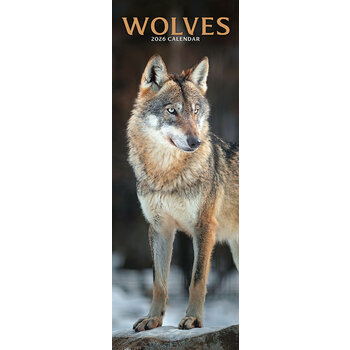 Calendrier Etroit Slim 2026 Loup