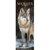 Calendrier Loup Etroit 2026