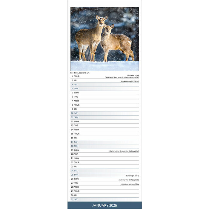 Calendrier  Autonme 2026
