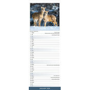 Calendrier  Autonme 2026