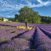 Calendrier Provence Champs de Lavande 2026