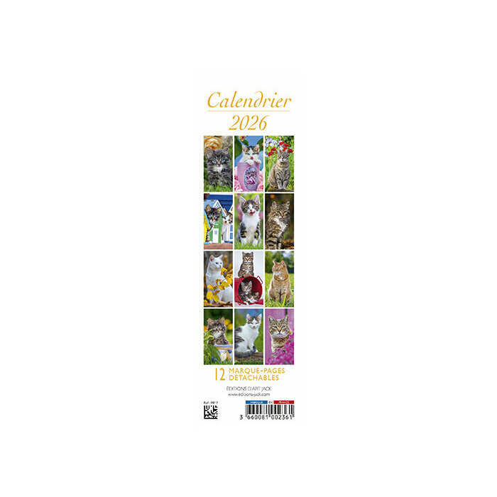 Calendrier Chatons Tigrs 2026