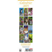 Calendrier Marque Page 2025 Chats