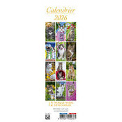 Calendrier Marque Page 2025 Chats