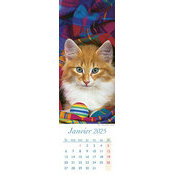 Calendrier Marque Page 2025 Chat Roux