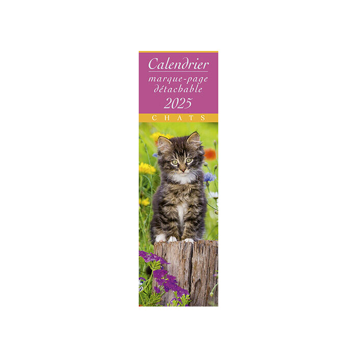 Calendrier Chatons Tigrs 2025