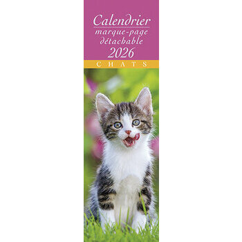 Calendrier Marque Page 2025 Chats et Chatons