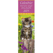 Calendrier Chatons Tigrs 2025