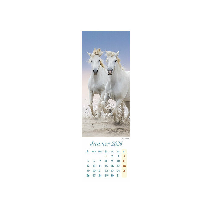 Calendrier Chevaux 2026 marque page Marque pages