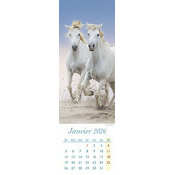 Calendrier Marque page Cheval Marron 2025