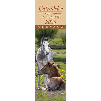 Calendrier Marque Page 2025 Chevaux