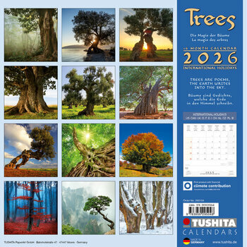 Calendrier 2025 La Magie des Arbres