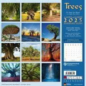 Calendrier Fort arbre 2025