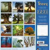 Calendrier arbre majestueux 2026