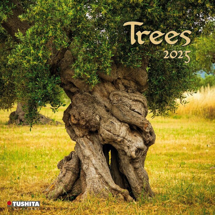 Calendrier Mural 2025 Arbres Majestueux