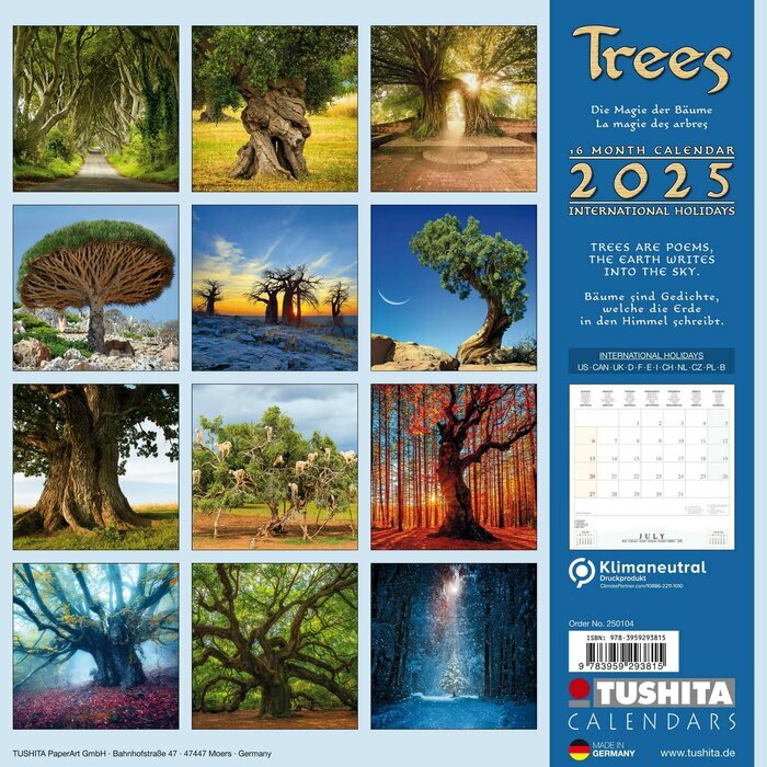 Calendrier Fort arbre 2025