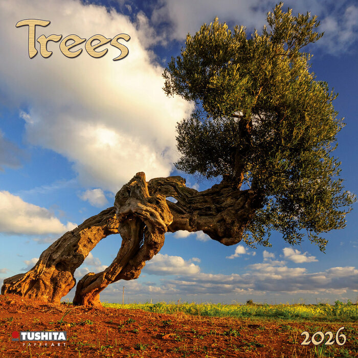 Calendrier Fort arbre zen 2026