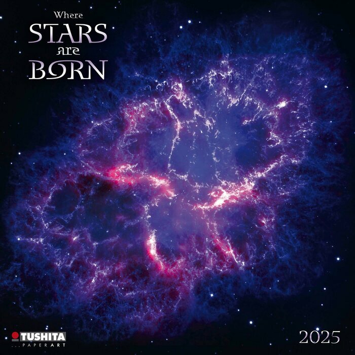 Calendrier Mural 2025 Constellation Etoiles